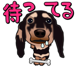 Dachs3 sticker #3762443