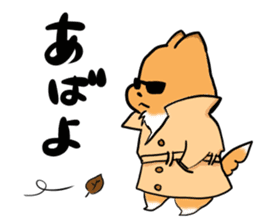 Shertie boy LAR sticker #3762688