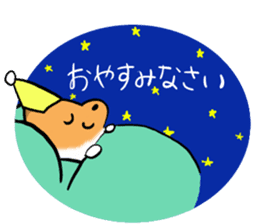 Shertie boy LAR sticker #3762692