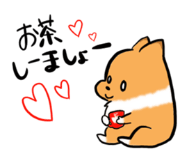 Shertie boy LAR sticker #3762694