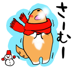 Shertie boy LAR sticker #3762696