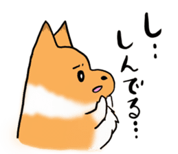 Shertie boy LAR sticker #3762697