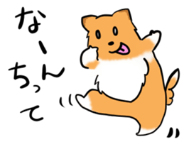 Shertie boy LAR sticker #3762701