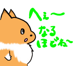 Shertie boy LAR sticker #3762703