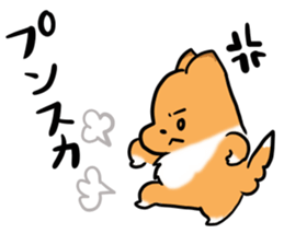 Shertie boy LAR sticker #3762705