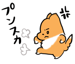 Shertie boy LAR sticker #3762705