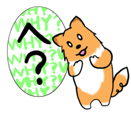 Shertie boy LAR sticker #3762706