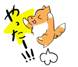 Shertie boy LAR sticker #3762707