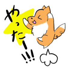 Shertie boy LAR sticker #3762707