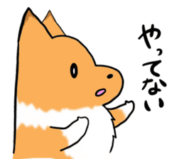 Shertie boy LAR sticker #3762708