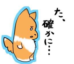 Shertie boy LAR sticker #3762710