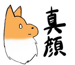 Shertie boy LAR sticker #3762714