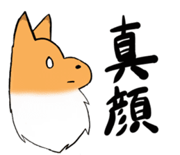 Shertie boy LAR sticker #3762714