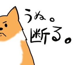 Shertie boy LAR sticker #3762716