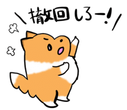 Shertie boy LAR sticker #3762717