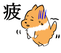 Shertie boy LAR sticker #3762718