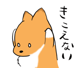 Shertie boy LAR sticker #3762719