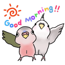 Happy Birds day! Hiyori and Apollo sticker #3763887