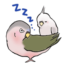 Happy Birds day! Hiyori and Apollo sticker #3763888