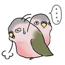 Happy Birds day! Hiyori and Apollo sticker #3763889