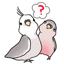 Happy Birds day! Hiyori and Apollo sticker #3763890