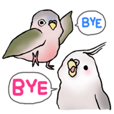 Happy Birds day! Hiyori and Apollo sticker #3763891