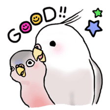 Happy Birds day! Hiyori and Apollo sticker #3763892