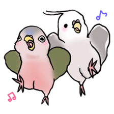 Happy Birds day! Hiyori and Apollo sticker #3763896
