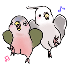 Happy Birds day! Hiyori and Apollo sticker #3763896