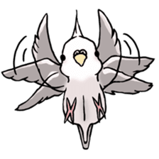 Happy Birds day! Hiyori and Apollo sticker #3763897