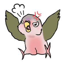 Happy Birds day! Hiyori and Apollo sticker #3763899