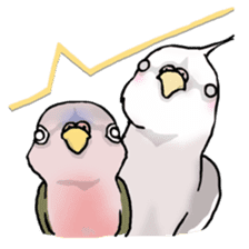 Happy Birds day! Hiyori and Apollo sticker #3763903