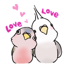 Happy Birds day! Hiyori and Apollo sticker #3763904
