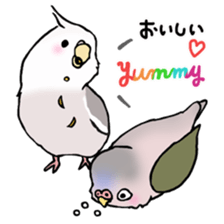 Happy Birds day! Hiyori and Apollo sticker #3763905