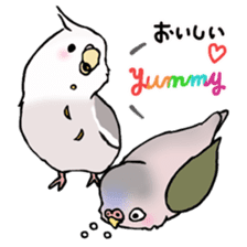 Happy Birds day! Hiyori and Apollo sticker #3763905