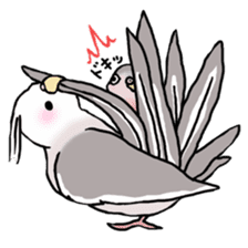 Happy Birds day! Hiyori and Apollo sticker #3763906