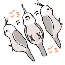 Happy Birds day! Hiyori and Apollo sticker #3763907
