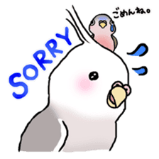 Happy Birds day! Hiyori and Apollo sticker #3763908