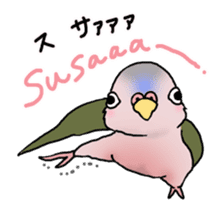 Happy Birds day! Hiyori and Apollo sticker #3763910