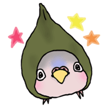 Happy Birds day! Hiyori and Apollo sticker #3763912