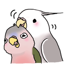 Happy Birds day! Hiyori and Apollo sticker #3763913