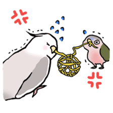 Happy Birds day! Hiyori and Apollo sticker #3763915