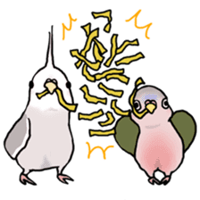 Happy Birds day! Hiyori and Apollo sticker #3763916