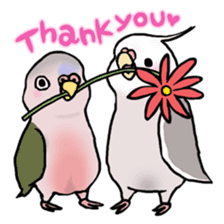 Happy Birds day! Hiyori and Apollo sticker #3763917