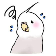 Happy Birds day! Hiyori and Apollo sticker #3763918