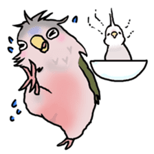 Happy Birds day! Hiyori and Apollo sticker #3763919