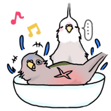 Happy Birds day! Hiyori and Apollo sticker #3763920