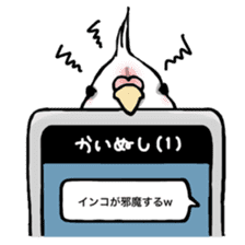 Happy Birds day! Hiyori and Apollo sticker #3763922