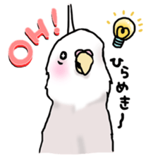 Happy Birds day! Hiyori and Apollo sticker #3763923