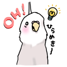 Happy Birds day! Hiyori and Apollo sticker #3763923